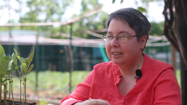 Doğa özlemi çekenler hasretlerini şehirde tarımla gideriyor